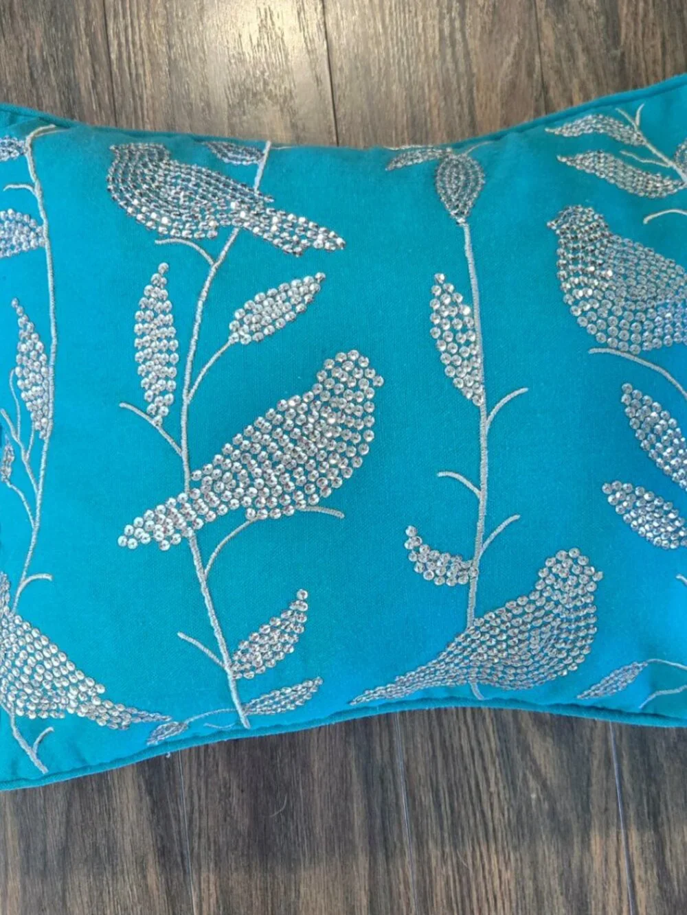 Cottagecore/Shabby Chic Style Aqua & Silver Sequined Accent Pillow